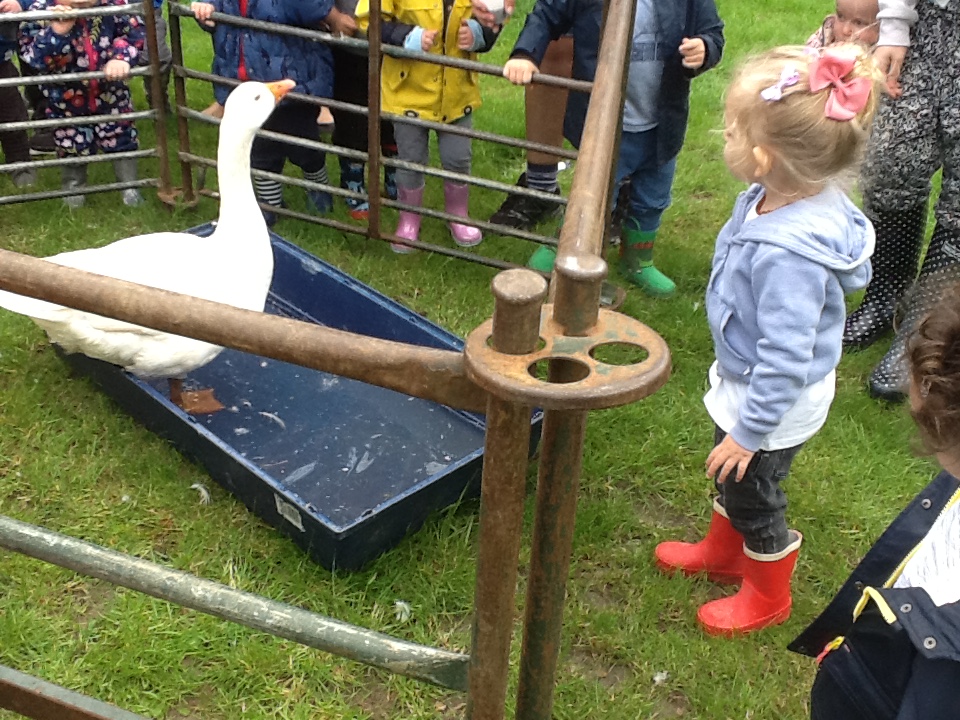 SITR low uptake, poor design but foundations worth building on